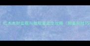 红木家具选购必看红木木材宏观与微观鉴定全攻略附鉴别技巧与市场价值分析