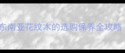 鸡翅木原产地东南亚花纹木的选购保养全攻略附辨别技巧
