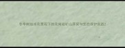 冬季树挂冰花景观下的花岗岩矿山开采与生态保护实践