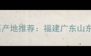 珍珠白大理石产地推荐福建广东山东生产厂家全