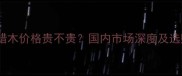 国产白蜡木价格贵不贵国内市场深度及选购指南