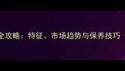 松木家具选购全攻略特征市场趋势与保养技巧附选购指南