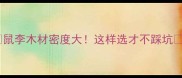 鼠李木材密度大这样选才不踩坑