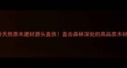 兴安岭天然原木建材源头直供直击森林深处的高品质木材供应链
