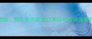 最新价格趋势赞比亚巴花进口木纹砖市场深度与采购指南