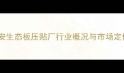 泰安生态板压贴厂行业概况与市场定位