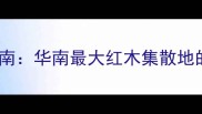 东莞红木木材市场采购指南华南最大红木集散地的供应链优势与选购攻略