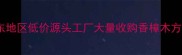 香樟原木批发直供华东地区低价源头工厂大量收购香樟木方板材家具料附选材全攻略