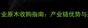 山东临沂专业原木收购指南产业链优势与采购全流程