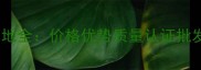 福建大理石花岗岩产地全价格优势质量认证批发采购指南最新