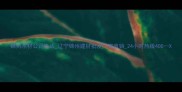 锦州木材公司电话辽宁锦州建材批发厂家直销24小时热线400--X