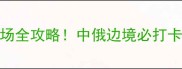 绥芬河进口木材市场全攻略中俄边境必打卡的5大建材采购地