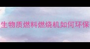 柴油替代方案生物质燃料燃烧机如何环保改造木屑加工厂