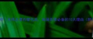 云南黑石石材天然大理石替代品高端装修必备的10大理由附选购指南