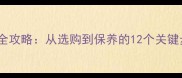 花岗石墙面施工全攻略从选购到保养的12个关键步骤与避坑指南