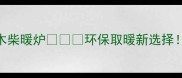爆款建材智能恒温木柴暖炉环保取暖新选择冬季省电50还带APP控制