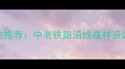 老挝优质木材产地推荐中老铁路沿线森林资源与建材应用指南