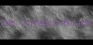 石材检测全流程如何通过5大核心指标选对石材