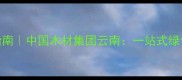 云南建材采购指南中国木材集团云南一站式绿色建材解决方案
