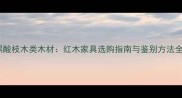 黑酸枝木类木材红木家具选购指南与鉴别方法全