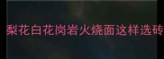 高端家装新宠梨花白花岗岩火烧面这样选砖更省钱更高级