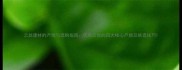 云丝建材的产地与选购指南优质云丝的四大核心产地及挑选技巧