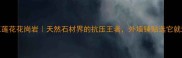 山东五莲花花岗岩天然石材界的抗压王者外墙铺贴选它就对了