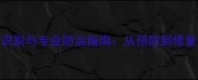 石材白华斑的成因识别与专业防治指南从预防到修复的全流程解决方案