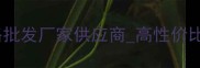 东方白大理石价格批发厂家供应商高性价比大理石选购指南