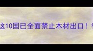 建材采购避坑指南这10国已全面禁止木材出口替代材料清单请收好