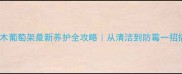 防腐木葡萄架最新养护全攻略从清洁到防霉一招搞定
