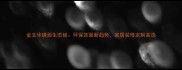 金玉华镜面生态板环保饰面新趋势家居装修定制首选