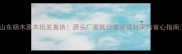 山东杨木原木批发直供源头厂家低价直发建材采购省心指南