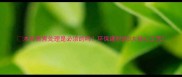 木材蒸煮处理是必须的吗环保建材的5大核心工艺