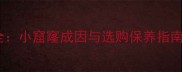 天然大理石常见问题全小窟窿成因与选购保养指南附专业检测方法