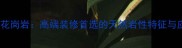 天山金麻花岗岩高端装修首选的天然岩性特征与应用指南