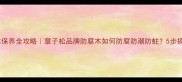 防腐木保养全攻略章子松品牌防腐木如何防腐防潮防蛀5步搞定