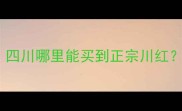 川红石材产地全四川哪里能买到正宗川红附选购避坑指南