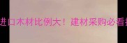 巴新进口木材比例大建材采购必看指南