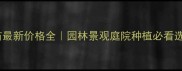 樟子松苗最新价格全园林景观庭院种植必看选购指南