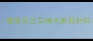 山东樟木板厂推荐哪里买正宗樟木家具材料附权威采购指南