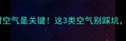 木材干燥选对空气是关键这3类空气别踩坑附选型指南