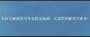 石材泛碱原因与专业防治指南从成因到解决方案全
