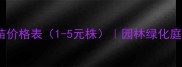 内蒙樟子松树苗价格表1-5元株园林绿化庭院种植全攻略