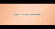 防腐木全常见种类与选购维护指南