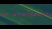 红木市场新动态黄花梨价格波动与投资前景预测